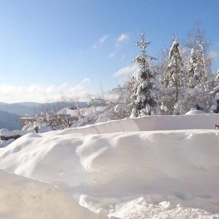 Laptitevosgienne Vue Lac A Gerardmer ! Exterior foto